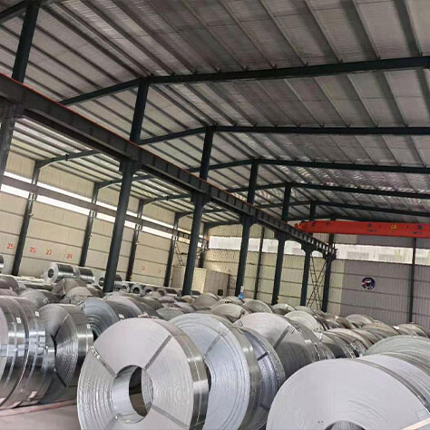 Stainless Steel Strip
